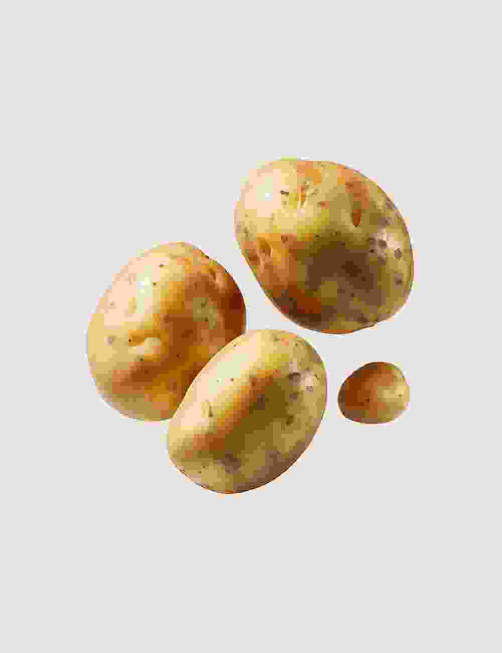 Shop Secondary Image