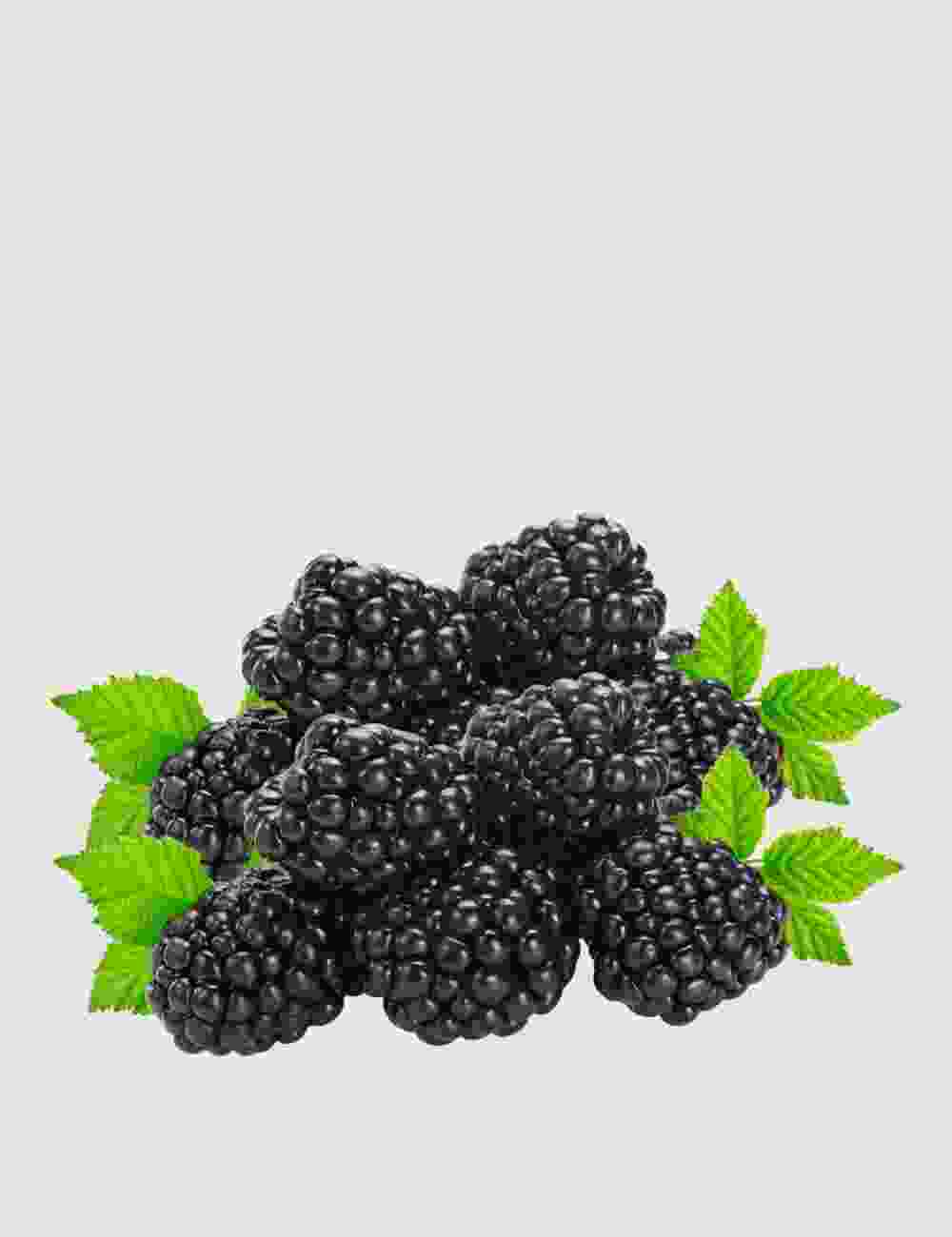 Shop Secondary Image Shop Secondary Image