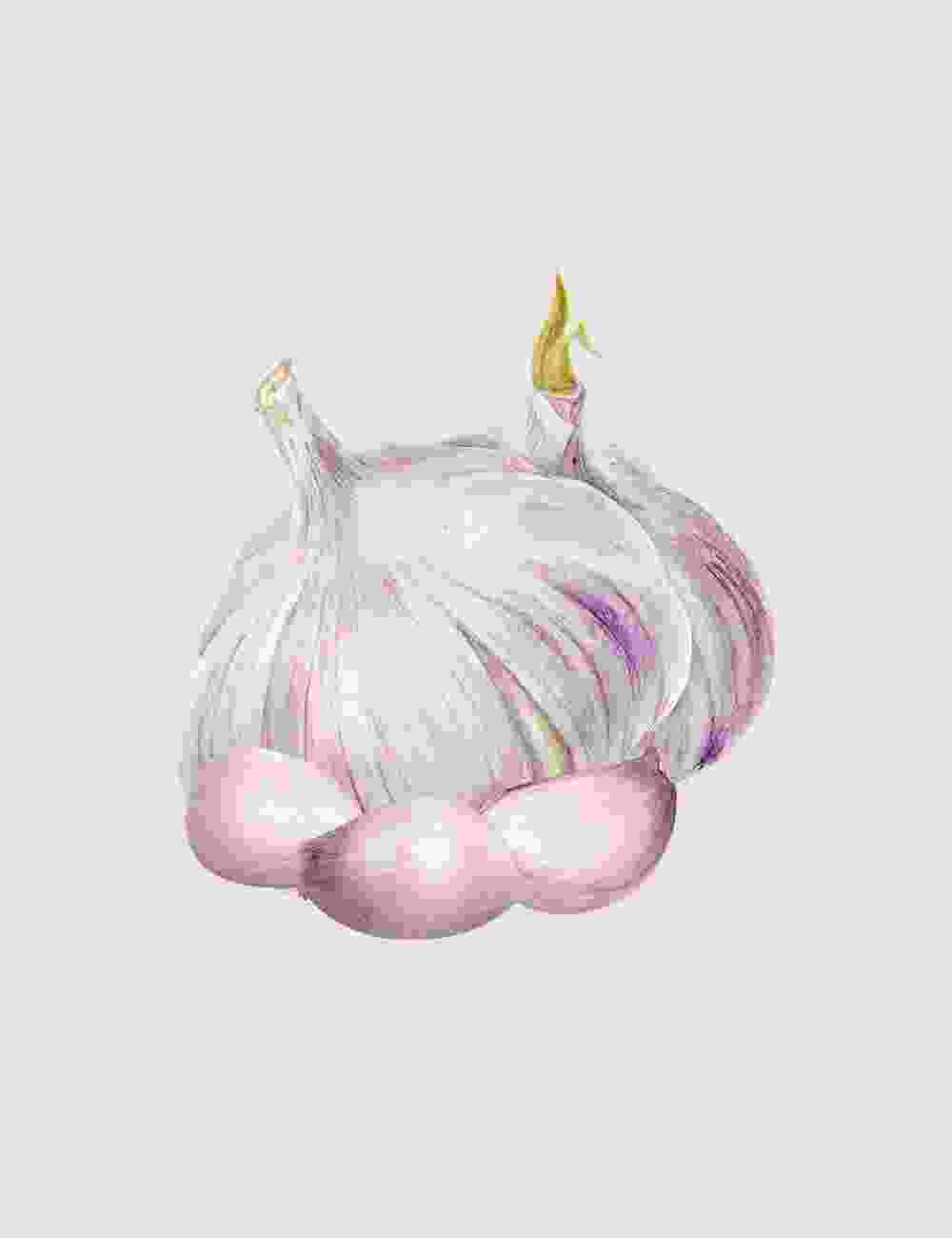 Shop Secondary Image Shop Secondary Image