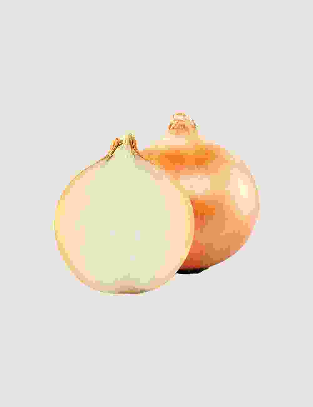 Shop Secondary Image Shop Secondary Image