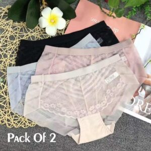 Nylon Lace Work Comfortable And Breathable Brief - Image 2