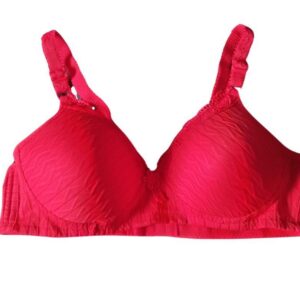 Women's Plain Lacework Padded Bra - Image 2